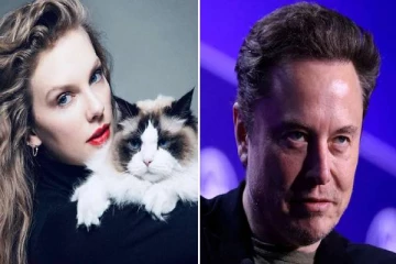 டெய்லர்..அது நடந்தால் நான் உங்களுக்கு குழந்தை தருவேன் - எலான் மஸ்க் மோசமான பதில்!