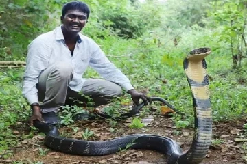 வாவா சுரேஷின் தற்போதைய நிலை! சினிமா பாணியில் நடந்த சம்பவம்... தவறி விழுந்த பயணி