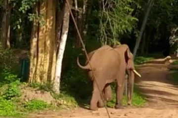 மட்டக்களப்பில் 6 பிள்ளைகளின் தந்தைக்கு நேர்ந்த துயரம்: பெரும் சோகத்தில் குடும்பம்