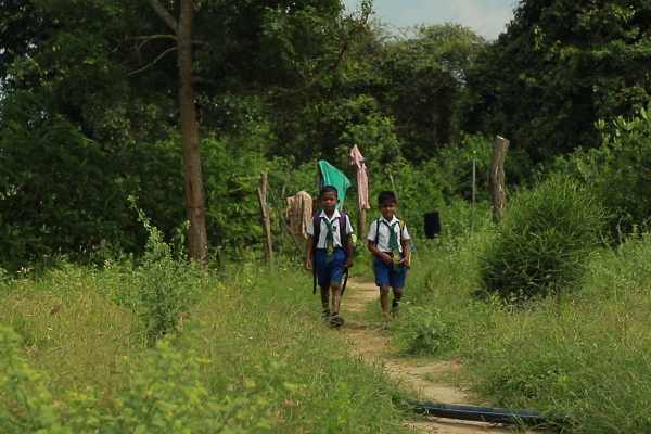 மன்னாரில் காற்றில் பறந்த சஜித்தின் வாக்குறுதிகள்! | Sajith S Promises Widespread Forest In Mannar