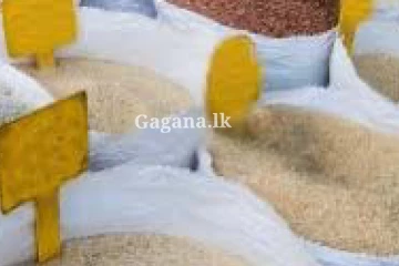 ඉදිරියේ දි රටේම සහල් හිගයක්..? ගණනුත් ඉහළ යයි ද.. වියළි කාලගුණය නිසා වෙන්න යන දේ...?