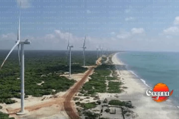 මන්නාරමේ 50MW සුළං බලාගාර ව්‍යාපෘති දෙකකට කැබිනට් අනුමැතිය