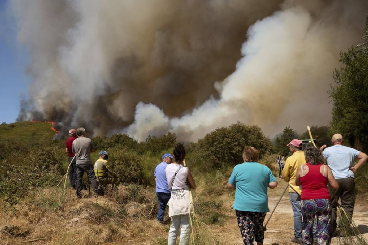 ஸ்பெயினில் கொடூர காட்டுத்தீ: 12 பேர் பலி - 19 பேர் மாயம் | Deadly Wildfires In Spain 12 Dead 19 Missing ஸ்பெயினில் கொடூர காட்டுத்தீ: 12 பேர் பலி - 19 பேர் மாயம் | Deadly Wildfires In Spain 12 Dead 19 Missing