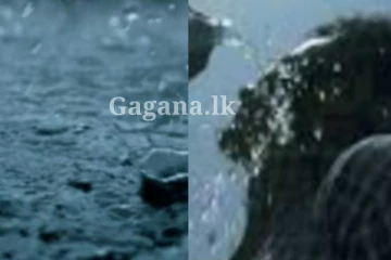 අද 02න් පස්සෙ කාලය තීරණාත්මකයි?. ජනතාවට විශේෂ දැනුම්දීමක් මෙන්න.