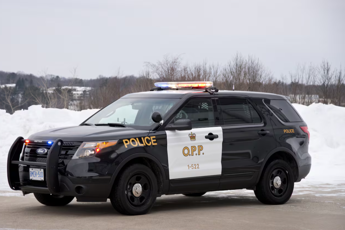 ஒன்டாரியோவில் கோர விபத்து: 6 வயது சிறுவன் பலி | Boy 6 Dead And At Least 5 Others In Hospital