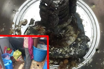 மன்னார் பொது வைத்தியசாலையில் புழுக்கள் ; ஆய்வு செய்த அதிகாரிகள் அதிர்ச்சி!