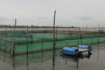 வடக்கில் காலூன்ற சீனா முஸ்தீபு!  கொந்தளிக்கும் தாயக உறவுகள்