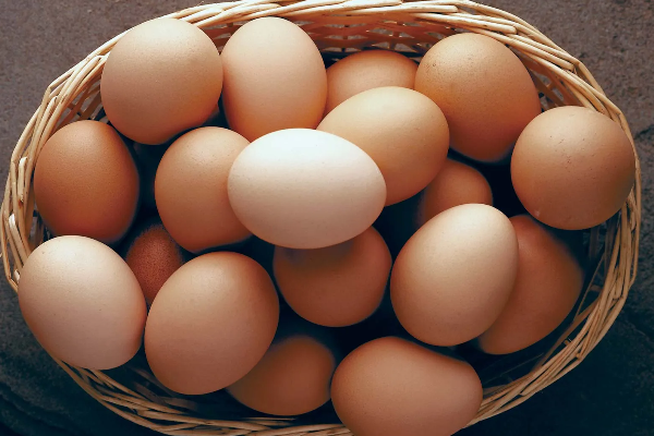 முட்டை விலை குறைப்பு தொடர்பில் வெளியான முக்கிய தகவல் | Information Released Regarding Egg Price Reduction