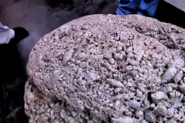 மாணிக்கக்கல் கொத்தணி பற்றிய செய்தி பொய்யானது – ஐ.தே.க