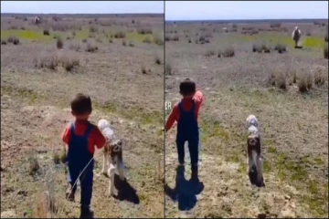 Viral Video; மில்லியன் கணக்கான இதயங்களை வென்ற வீடியோ! அப்படி என்ன இருக்கிறது?