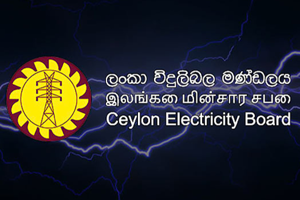 14ஆக உடையும் இலங்கை மின்சார சபை! | The Sri Lanka Electricity Board Will Break Into 14