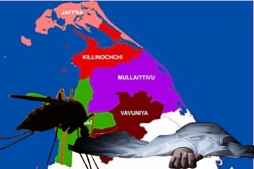 மீண்டும் தலையெடுக்கும் மலேரியா : வடக்கு மாகாணத்தில் ஒருவர் மரணம்