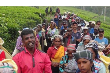 நுவரெலியா தோட்ட தொழிலாளர்கள் ஆர்ப்பாட்டம்