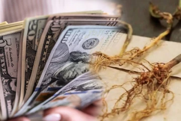 இந்த செடியின் வேர் இருந்தால் போதும்..! வீட்டில் காந்தம் போல் பணம் ஈர்க்கும்