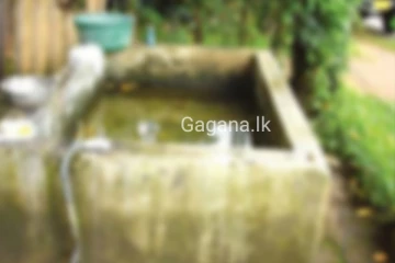 ලිංගික හැසිරීම නැවැත්වීමට නව ක්රමවේදයක් හදුන්වා දෙයි..මෙම ක්රමයට දින 03ක් එකට හිටියත් කිසිදු ශාරීරික සම්බන්ධතාවක් නොපවත්වයි..