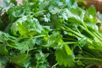 ​கெட்ட கொழுப்பை ஓட விடும் சக்தி வாய்ந்த இலை! வாரத்துல மூனு நாள் சாப்பிட்டா என்ன நடக்கும்?