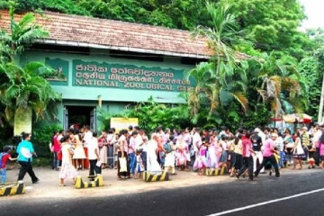 தெஹிவளை மிருகக்காட்சிசாலையில் அதிகரித்த வருமானம்!