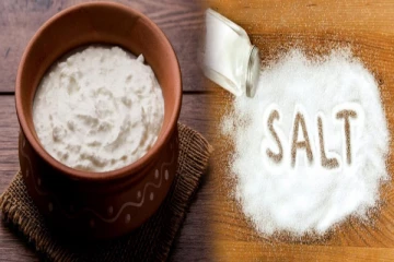 தயிரில் உப்பு சேர்த்து சாப்பிடுவது நல்லதா? கெட்டதா? தெரிந்துகொள்ளுங்கள்