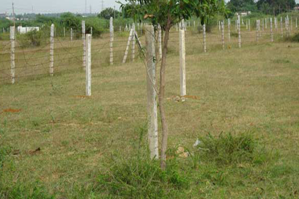 உள்ளக விளையாட்டரங்கை அமைக்க நாம் காணி வழங்க ஆர்வமாகவுள்ளோம்! கொடையாளி முன்வருகை | Land For Construction Of Indoor Stadium Jaffna