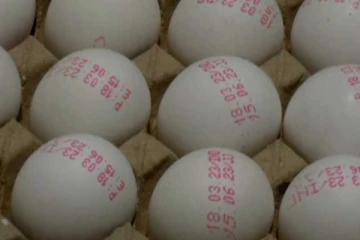 இறக்குமதி செய்யப்படும் முட்டைகள் தொடர்பில் எச்சரிக்கை