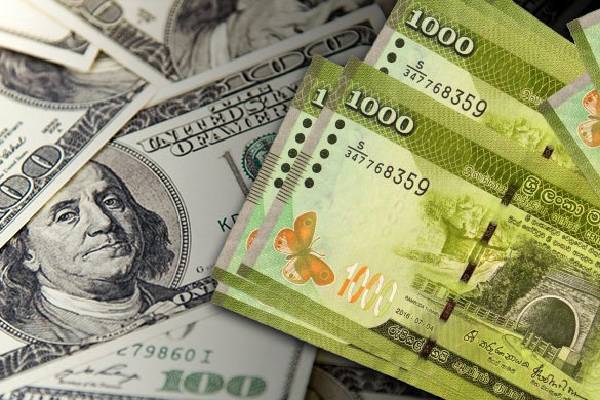 இலங்கை ரூபாவின் பெறுமதி சற்று வீழ்ச்சி! | Value Of The Sri Lankan Rupee Has Fallen Slightly