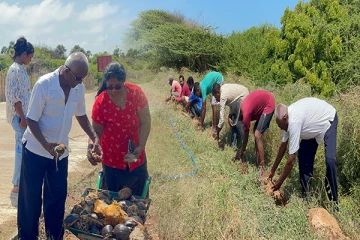 மன்னாரில் சர்வதேச ஓசோன் தினத்தை முன்னிட்டு பனை விதைகள் நாட்டி வைப்பு