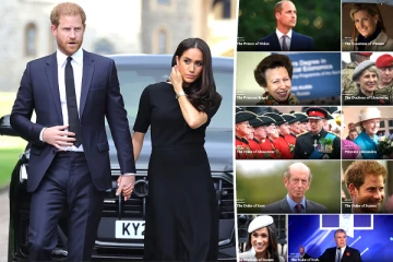 ஹரியும், மேகனும் அரச குடும்பத்தை விட்டு வெளியேற்றப்படுவதாக கவலை.., மதிப்பு இவ்வளவு தான்: நிபுணர்கள் கருத்து