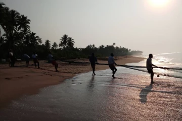 தென்னிலங்கையில் திடீரென உயிரிழந்த நிலையில் கரையொதுங்கிய மீன்கள்