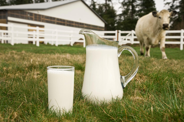 மாணவர்களுக்கு இலவச பால்! | Milk For Students Coming To Parliament