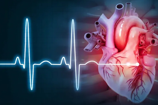 உங்களது இதயம் ஆரோக்கியமாக இருக்கின்றதா? ஆபத்தில் இருந்தால் இதுதான் அறிகுறிகள் | How To Check Your Heart Condition Healthy உங்களது இதயம் ஆரோக்கியமாக இருக்கின்றதா? ஆபத்தில் இருந்தால் இதுதான் அறிகுறிகள் | How To Check Your Heart Condition Healthy