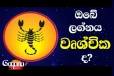 සුර්යයා මීන රාශියෙන් මේෂ රාශියට යද්දී - වෘශ්චික ලග්නයේ උපන් ඔබට කොහොමද ?