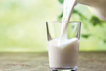 பால் நல்லது தான்.. ஆனால் இந்த பாதிப்புகளும் இருக்கு! உங்களுக்கு தெரியுமா?