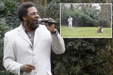 பிரித்தானியாவில் குரங்குகளுக்காக நடத்தப்பட்ட இசைக்கச்சேரி: வியப்பில் மூழ்கும் மக்கள்!