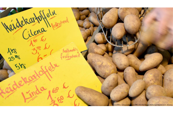 40 லட்சம் கிலோ உருளைக்கிழங்குகளை இலவசமாக கொடுக்கும் ஜேர்மானியர் | Germanian Gives 40 Lakhs Kg Potato For Free