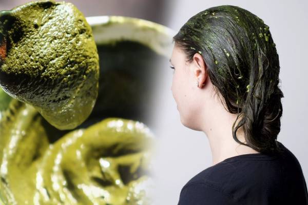 உதிர்ந்த இடத்தில் முடி வளர இந்த ஒரு ஹேர்பேக் போதும்: எப்படி தயாரிப்பது? | Home Made Hair Pack For Hair Growth In Tamil உதிர்ந்த இடத்தில் முடி வளர இந்த ஒரு ஹேர்பேக் போதும்: எப்படி தயாரிப்பது? | Home Made Hair Pack For Hair Growth In Tamil