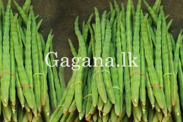 මුරුංගා ගණන් උස්සයි. - වාර්තා වූ උපරිම මිල මෙන්න.