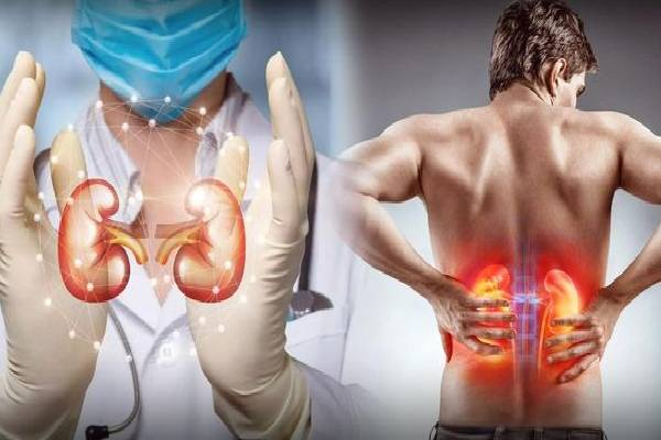 இந்த பானத்தை குடிங்க - சிறுநீரகம் கெட்டுப்போகாமல் இருக்கும் | Kidney Health Best Drinks For Healthy Kidneys