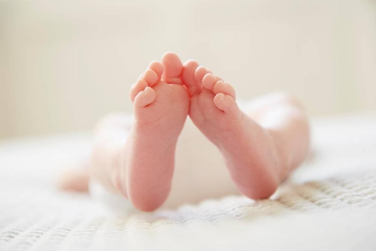 வவுனியாவில் 5 மாதக் குழந்தைக்கு நிகழ்ந்த அவலம் | 5 Month Baby Dies Swing Pole Breaks And Falls வவுனியாவில் 5 மாதக் குழந்தைக்கு நிகழ்ந்த அவலம் | 5 Month Baby Dies Swing Pole Breaks And Falls