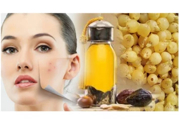 உச்சி முதல் பாதம் வரை அதிமருந்தாகும் இலுப்பை மரம் - அழிவின் விளிம்பில் - கண்டுக்கொள்ளாதது ஏன்? அலசுவோம்