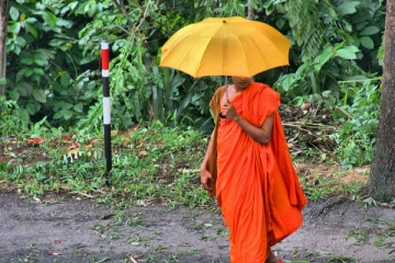 ஹோட்டலுக்கு 5 லட்சம் வாடகை செலுத்தாது தப்பியோடிய பிக்கு!