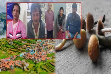 போதைக்காளான் விற்ற விக்டோரியா ராணி; கொரியர் கூட இருக்கு - அதிர்ந்த கொடைக்கானல்!