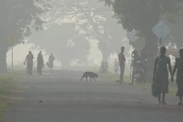 நுவரெலியாவாக மாறிய கிளிநொச்சி ; சாரதிகளுக்கு முக்கிய தகவல் | Kilinochchi Turns Nuwara Eliya Driver Alert