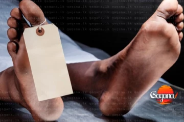 අබිරහස් ලෙස මිය ගිය පුතුගේ දේහය යළි ගොඩගනියි - මව පියා අත්අඩංගුවට