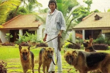 ரூ.45 கோடி சொத்தை நாய்களுக்கு எழுதி வைத்த நடிகர்.., யார் தெரியுமா?