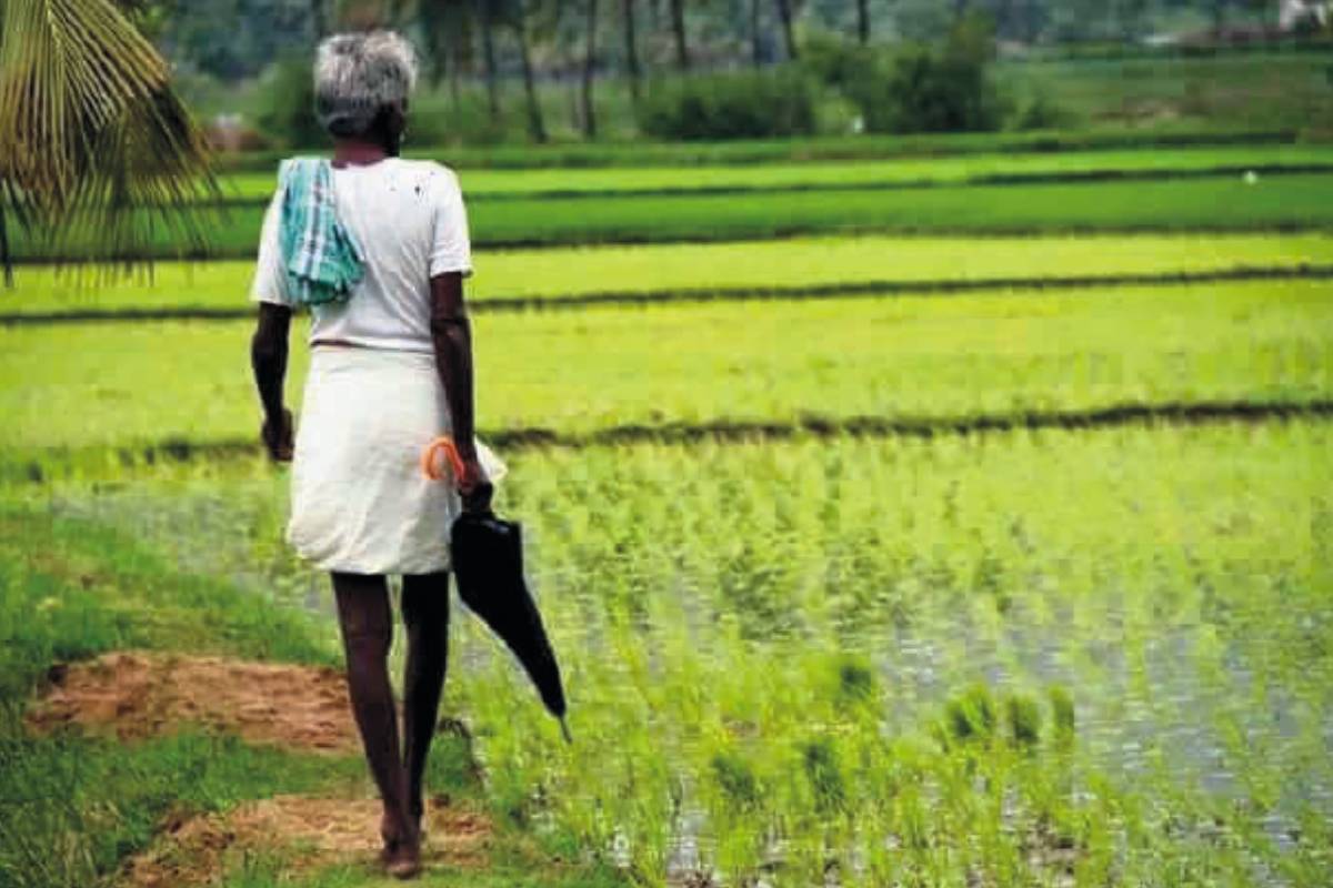 திம்பு பேச்சுவார்த்தையின் போது அழிக்கப்பட்ட தமிழ் பகுதி கி்ராமம் - திரைப்படப் பாணியில் இராணுத்தினர் நடத்திய வேட்டை | Story Of Village Destroyed By Military In Ampara
