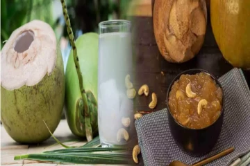 Elaneer Halwa: இளநீர் அல்வா சாப்பிட்டு இருக்கீங்களா?