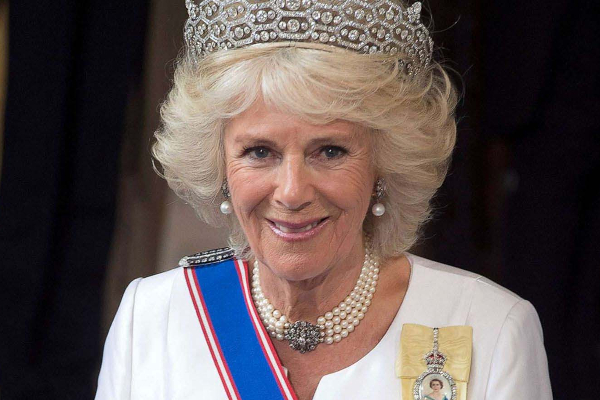 தேனீக்களின் விஷத்தை முகத்தில் பூசிக்கொள்ளும் இங்கிலாந்து ராணி! காரணம் என்ன தெரியுமா? | Camilla Used Bee Venom Reducing Age Effect