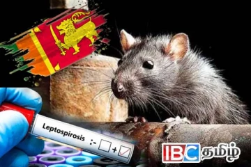 நாட்டில் மீண்டும் தீவிரமடையும் நோய் தாக்கம் : விடுக்கப்பட்டுள்ள எச்சரிக்கை