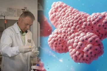 ஆய்வகத்தில் தயாரிக்கப்படும் மனித நுரையீரல்கள்: பிரித்தானிய அறிவியலாளர்களின் சாதனை