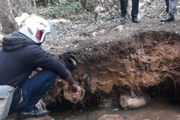 පිදුරුතලාගල රක්ෂිතයේ අනවසරෙන් සිදු වන ජාවාරම